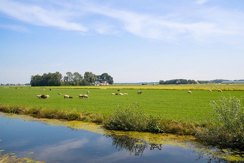 Groen gas in buitengebied goedkoopste alternatief voor aardgas